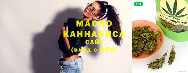 метадон Няндома