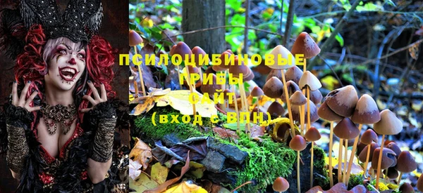 герыч Новодвинск