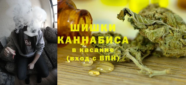 метадон Няндома