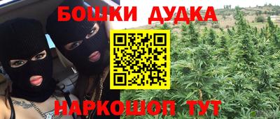 ПСИЛОЦИБИНОВЫЕ ГРИБЫ Кандалакша