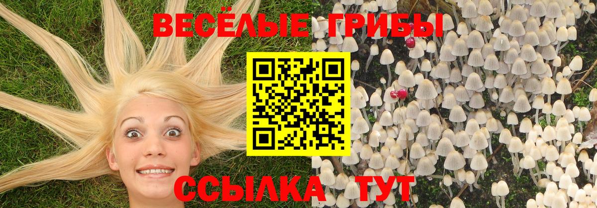 Псилоцибиновые грибы ЛСД  Псилоцибиновые грибы Magic Shrooms  Саки 