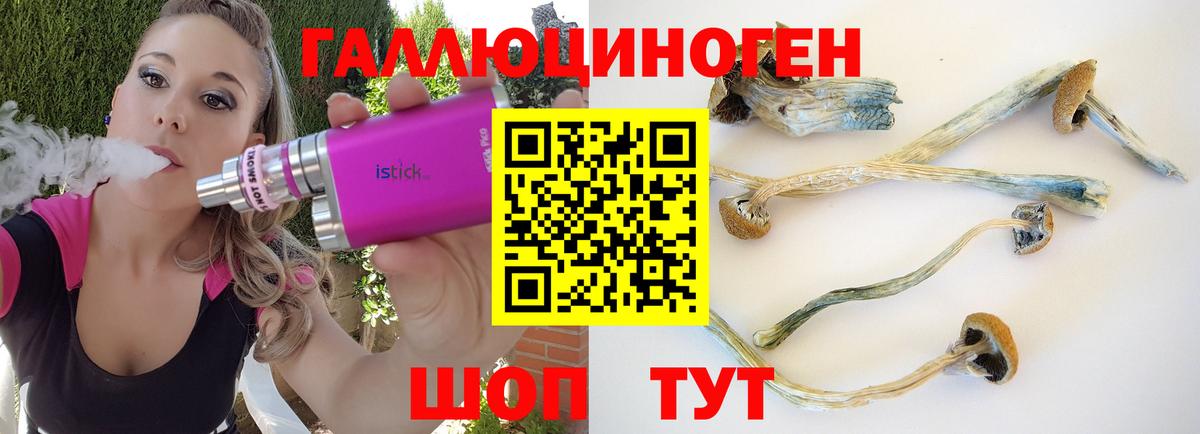 Галлюциногенные грибы прущие грибы  Псилоцибиновые грибы прущие грибы  Саки  Вход с VPN 
